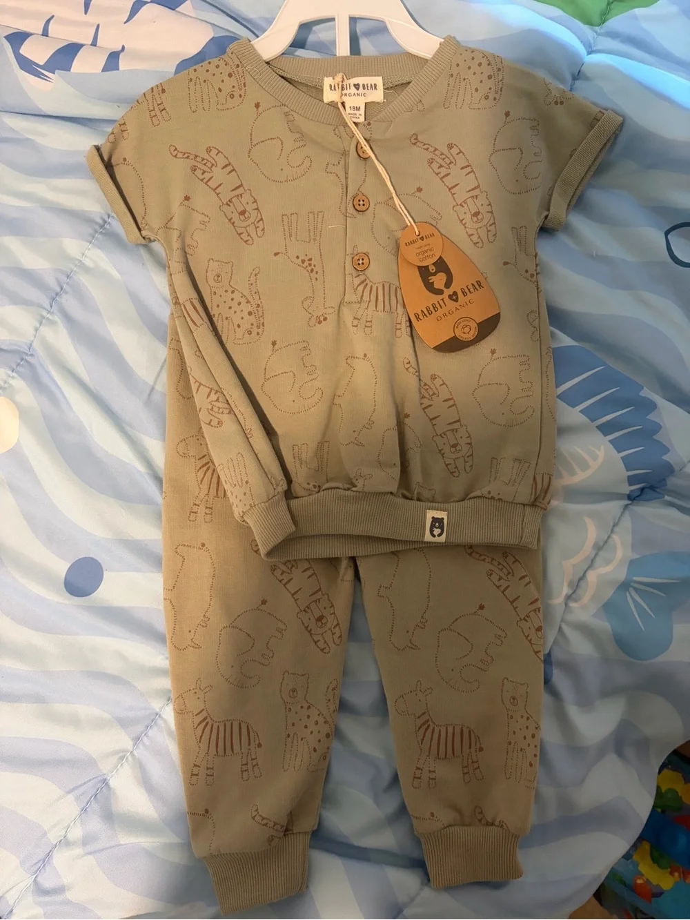 Rabbit & Bear Organic Kids Matching Set in Sage Green